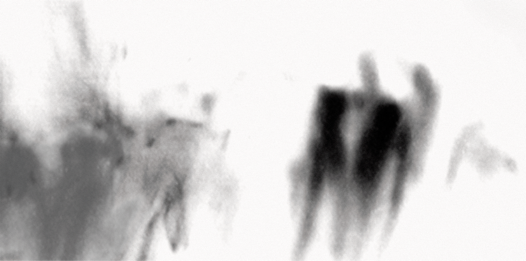 Anna Delliou Photographie