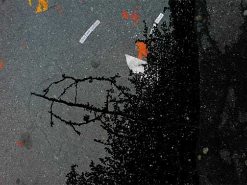 Anna Delliou Photographie