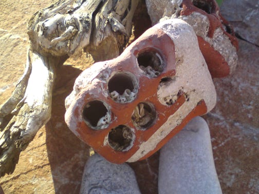 Anna Delliou Photographie