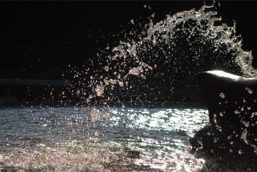 Anna Delliou Photographie