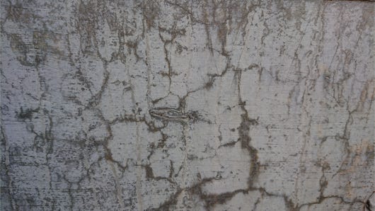 Anna Delliou Photographie