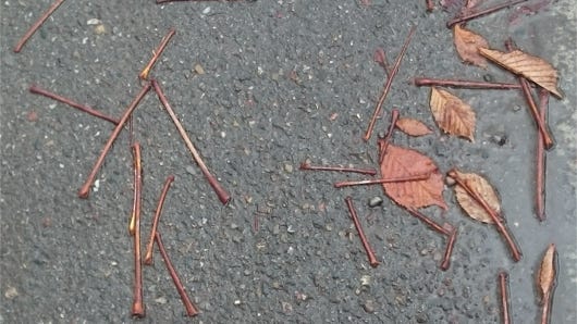 Anna Delliou Photographie