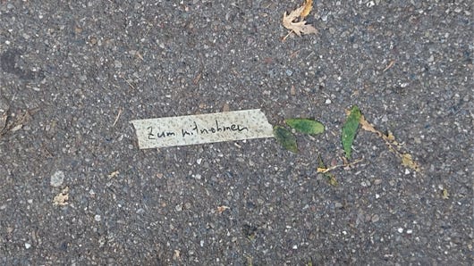 Anna Delliou Photographie