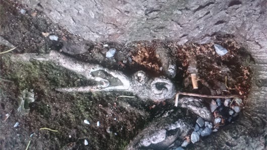 Anna Delliou Photographie