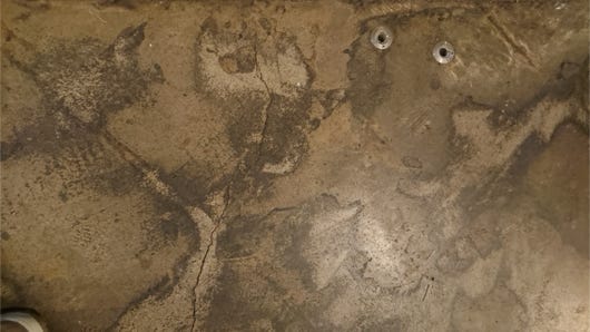 Anna Delliou Photographie