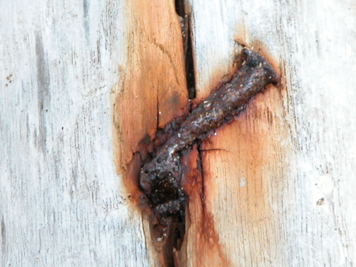 Anna Delliou Photographie