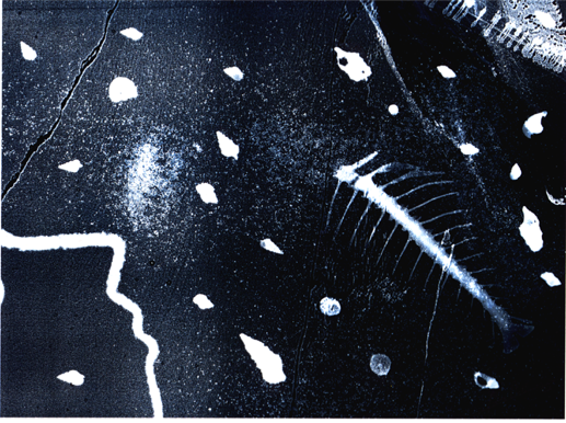 Anna Delliou Photographie