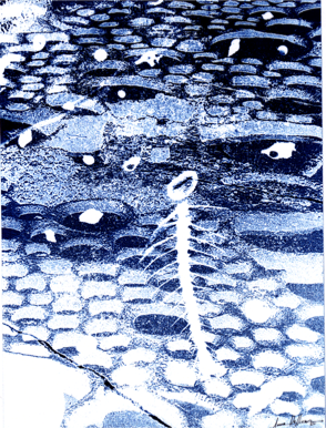 Anna Delliou Photographie