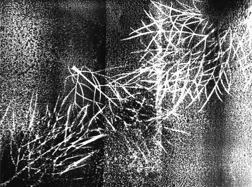 Anna Delliou Photographie