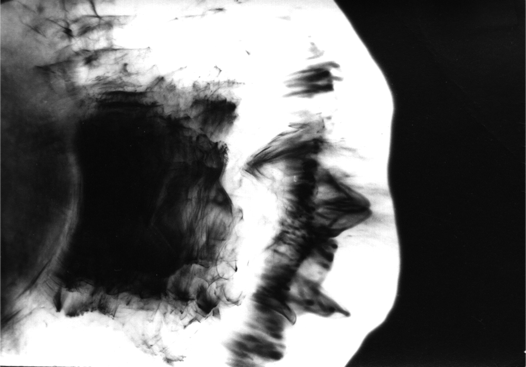 Anna Delliou Photographie