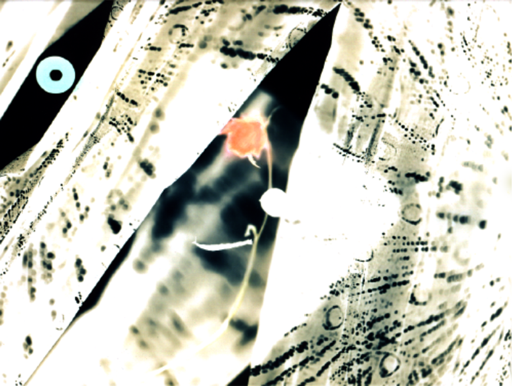 Anna Delliou Photographie