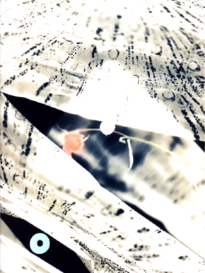 Anna Delliou Photographie