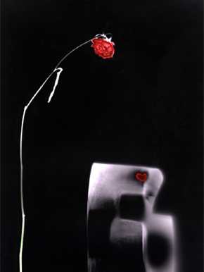 Anna Delliou Photographie