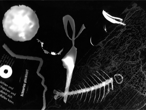 Anna Delliou Photographie