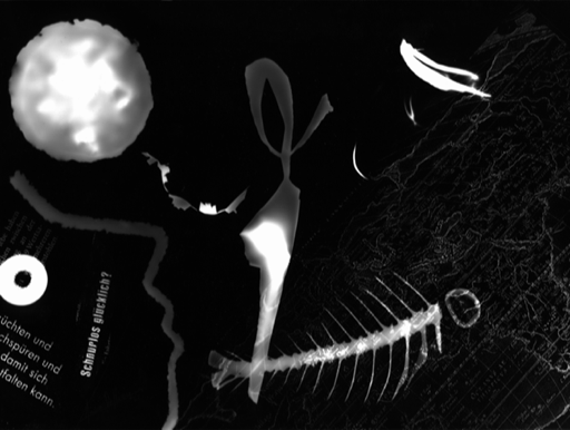 Anna Delliou Photographie