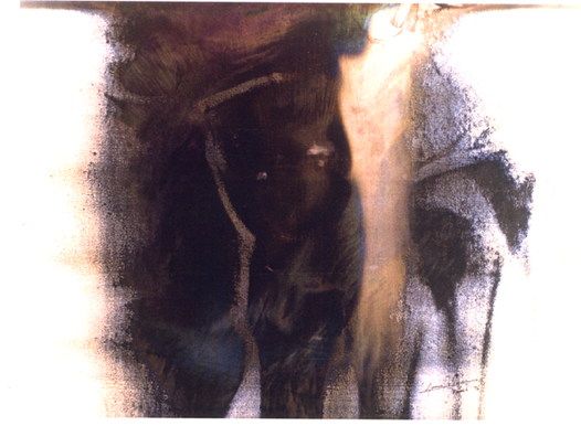 Anna Delliou Photographie